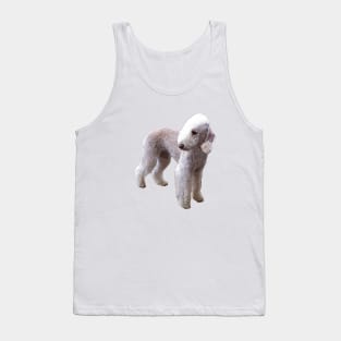 Bedlington Terrier Tank Top